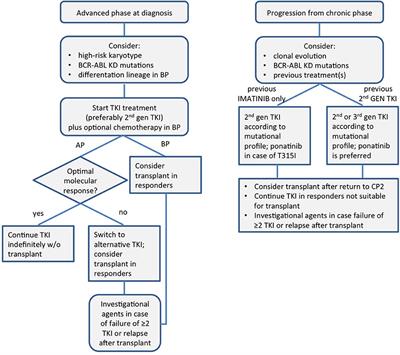 Management of Chronic Myeloid Leukemia in Advanced Phase